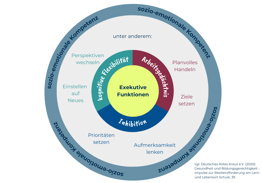 Mit dieser Kreisgrafik wird auf die exekutiven Funktionen wie die kognitive Flexibilität, das Arbeitsgedächtnis und die Inhibition. Dazu gehören planvolles Handeln, Ziele setzen, Aufmerksamkeit lenken, Prioritäten setzen, Einstellen auf Neues, Perspektiven wechseln.